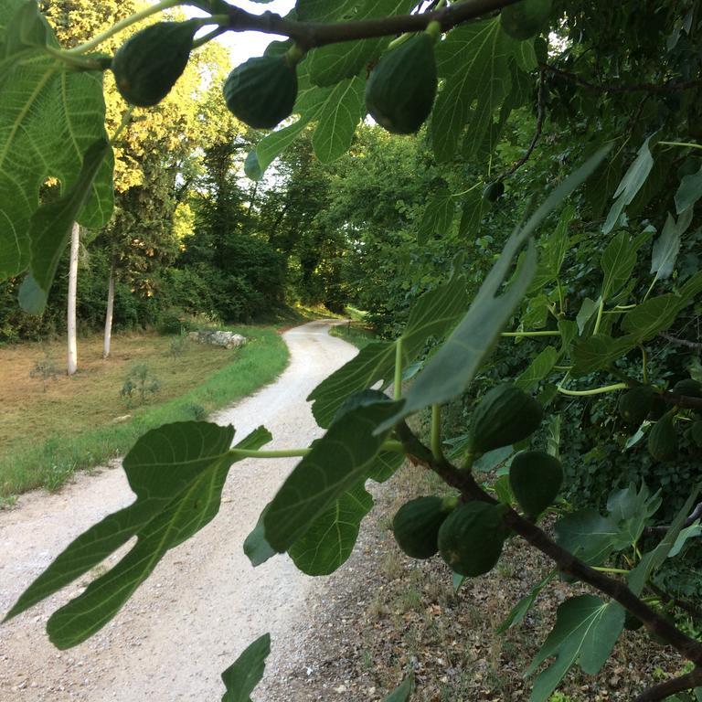 ורונה Agriturismo Altobello מראה חיצוני תמונה