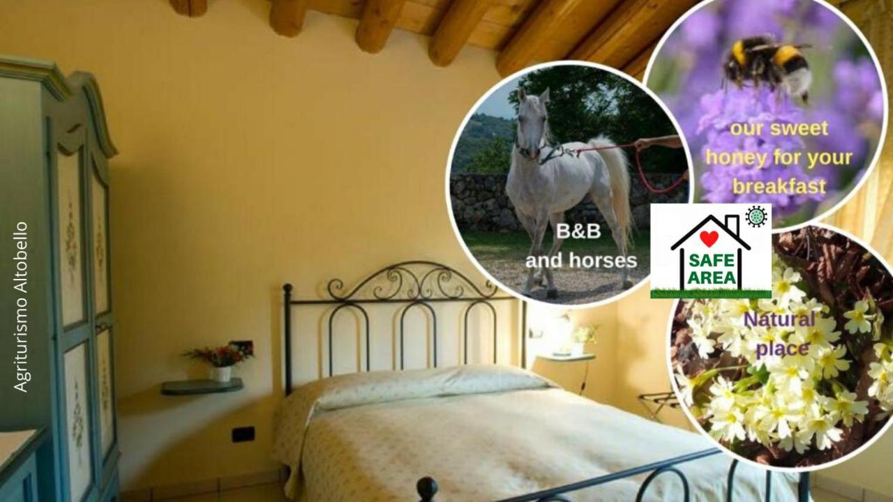 ורונה Agriturismo Altobello מראה חיצוני תמונה